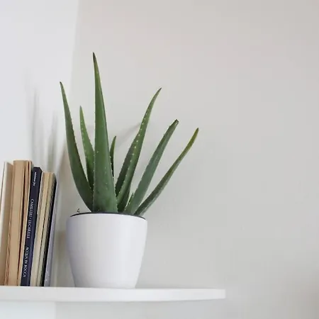 Charming & Modern In The Apartment Bergamo